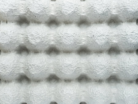 Empty paper egg container, Texture top view.