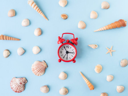 Many different sea shells on a blue backgroundの写真素材