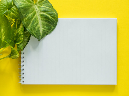 Notepad for notes, green plant leaves on yellow desktop, flat lay, copy spaceの写真素材
