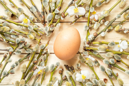 Spring willow branches with blooming buds and chicken eggs on wooden background.の写真素材