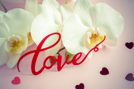 White Orchid inscription Love on a pink background.の写真素材