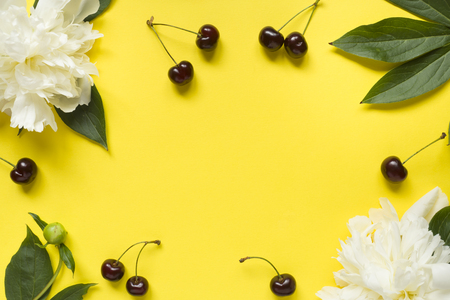 Frame from white flowers peony, Ripe cherries on a bright yellow backgroundの写真素材