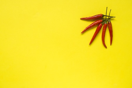 Red chili pepper pods on bright yellow background.の写真素材