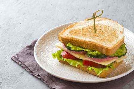 Sandwich with cheese, ham and fresh vegetables on a plate.の写真素材