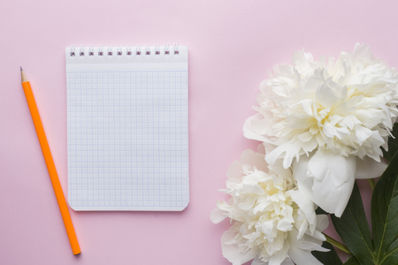 Notepad for text white flowers peony cherry berries on pastel pink background.の写真素材