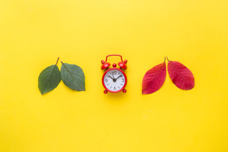 Leaves are green and red. Time, clock alarm. Abstraction, the concept of autumn
