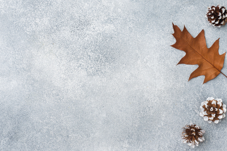 Autumn dry oak leaves on a gray background. Texture subtextの写真素材