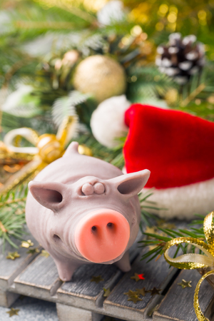 Figure pig in a Santa Claus hat on the  of Christmas trees. Christmas decorations. New year concept.の写真素材
