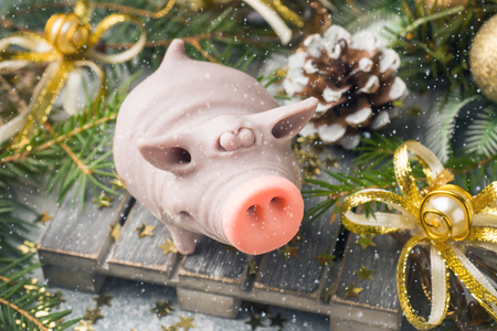 Figure pig on the  of Christmas trees. Christmas decorations. New year concept.の写真素材