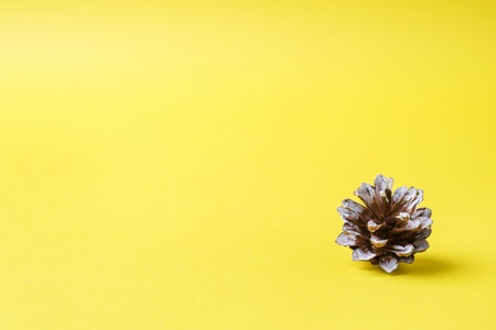 Christmas new year concept. Pine cone on yellowの写真素材