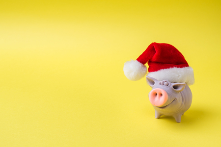 Christmas new year concept. The figure of a pig in a Santa hat on a yellowの写真素材