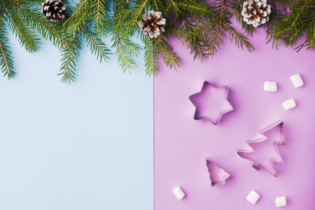 Decoration for Christmas concept. Food oranges nuts spices pine cones Christmas tree on blue pastel background with copy spaceの写真素材