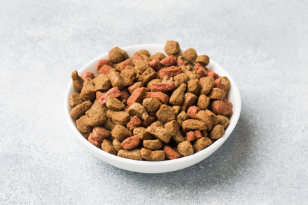 Dry cat food in a ceramic plate