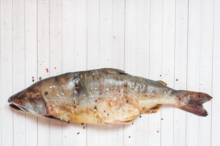 Raw pink salmon fish with spices on a light table Copy space