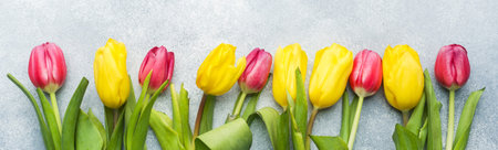 Bouquet of yellow and pink tulips on a light blue