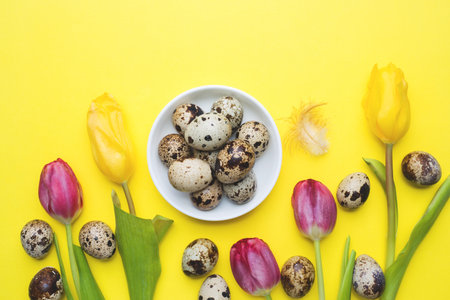 Bright flowers tulips and quail eggs on colors background. Spring and Easter holiday concept with copy space.の写真素材