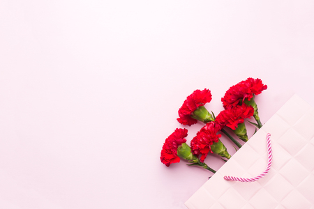 Red carnations on pink background with copy space. Mother's Day card, Valentine's dayの写真素材