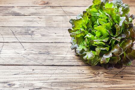 Fresh red lettuce Bush Oak leaves on a wooden table. Copy spaceの写真素材