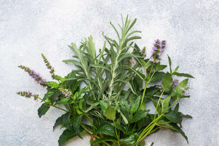 Bunches of fresh sprigs of mint and rosemary. Gray concrete backgroundの写真素材