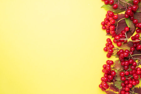 Red berries of fresh viburnum with leaves on a yellow background. Copy space