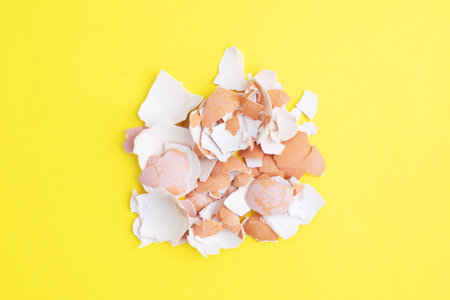 Eggshells from boiled chicken eggs on a yellow background, top view