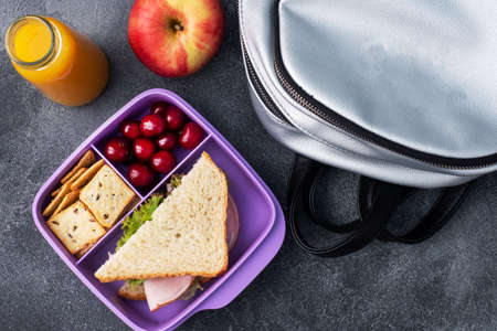 Delicious healthy sandwich in a lunch box, cookies and cherries. Take lunch with you to school or the office, Juice in a bottle and an appleの写真素材