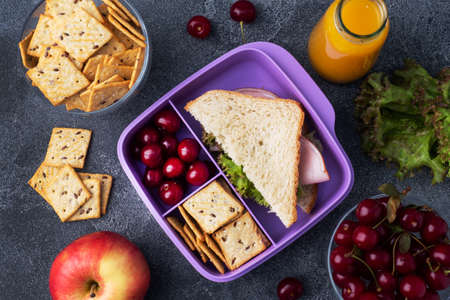Delicious healthy sandwich in a lunch box, cookies and cherries. Take lunch with you to school or the office, Juice in a bottle and an appleの写真素材