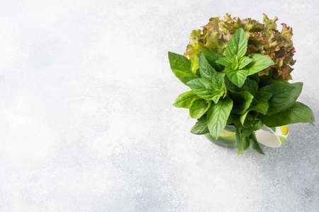 Fresh basil leaves, mint and lettuce. A bouquet of fragrant herbs and spices Copy space.の写真素材