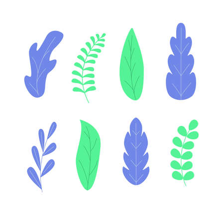 Set nature abstract leaves. Collection of trendy foliages. Vector illustrationのイラスト素材