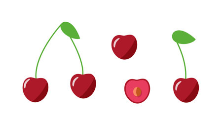 Cherry whole with a leaf, half a cherry berry with a stone. Vector illustration of a set of fresh...