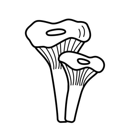 Doodle style mushroom icons vector. Illustration of chanterelles the contour is isolated on whiteのイラスト素材