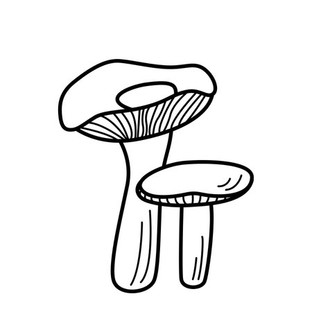 Doodle style mushroom icons vector. Illustration of russula the contour is isolated on whiteのイラスト素材