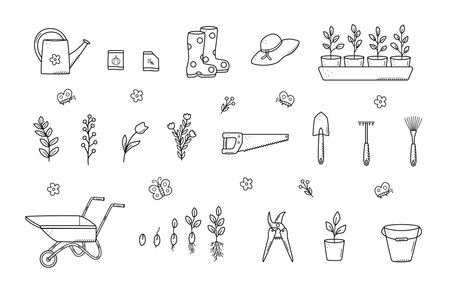 Garden tools and plants, a set of vector doodle illustrations. Concept gardening, a summer hobbyのイラスト素材