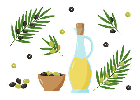 Olives, olive oil and branches with leaves and berries. Vector illustration of a set of olivesのイラスト素材