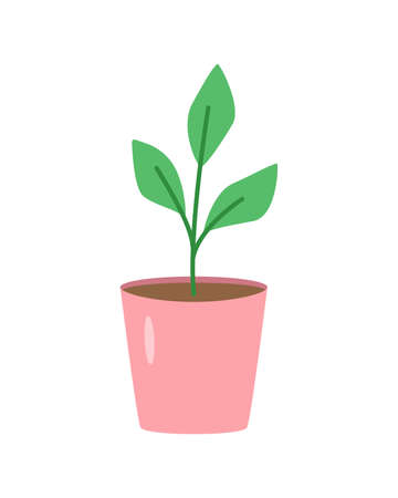Seedlings in a pot, vector illustration of plants in a flower pot doodle styleのイラスト素材