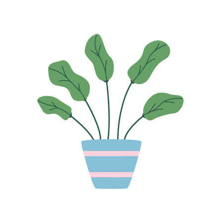 Ficus in a flower pot. Vector illustration flower with leaves for room decorationのイラスト素材
