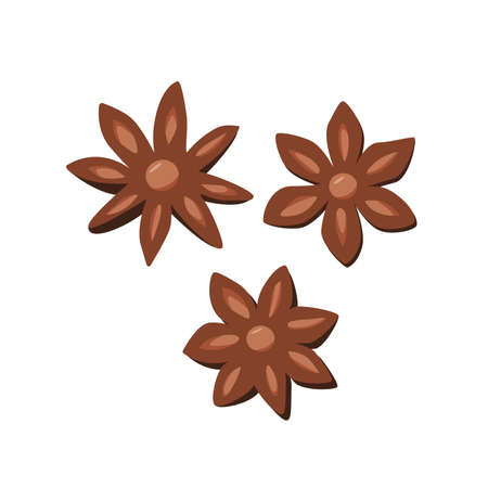 Set stars anise, fragrant winter spices, vector illustration isolated on white.のイラスト素材