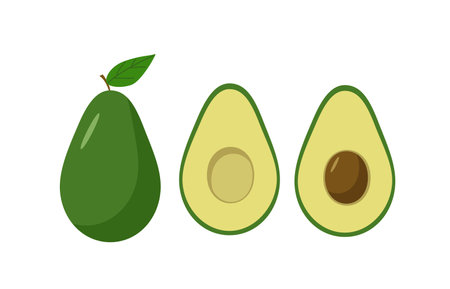 Avocado set of whole and halves with a bone. Vector illustration of fresh avocado fruit.のイラスト素材