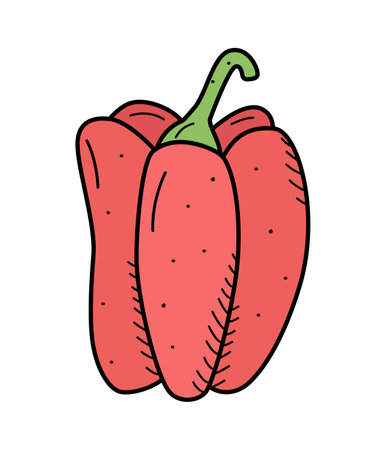 Sweet pepper icon with a stem, vector doodle illustration.のイラスト素材