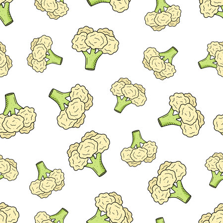 Seamless Pattern Cauliflower, doodle vector drawing cabbage, background.のイラスト素材