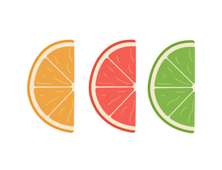 Slices of citrus orange grapefruit, lime. Vector illustration of juicy bright fruits.のイラスト素材