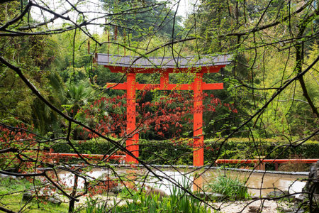 Decorative Japanese style gates in the park, Arboretum Sochi Russia. Background tree branches with young spring foliage in the rain. The landscape, tropical climateの写真素材