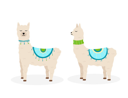 Cute cartoon llama icon. Vector illustration of a funny animal.のイラスト素材