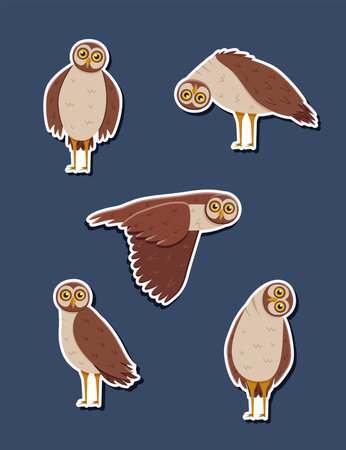 Stickers Set of cute funny owl with tilted leaned head, in flight. Vector illustration of cartoon forest night birds.のイラスト素材