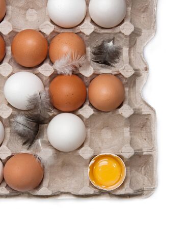 New-laid eggs on white backgroundの写真素材