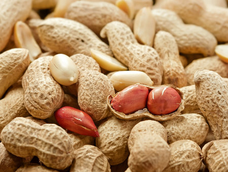 Peeled peanut andl peanuts in shell, studio shot