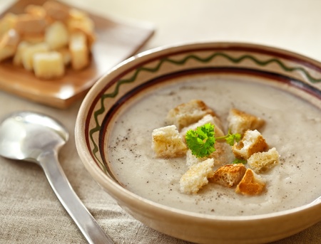 Soup and dried crusts on the table, studio shotの写真素材