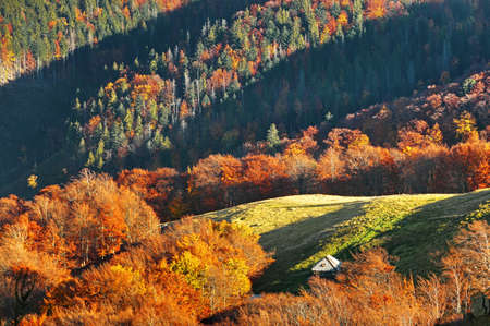 Autumn landscape in mountainsの写真素材