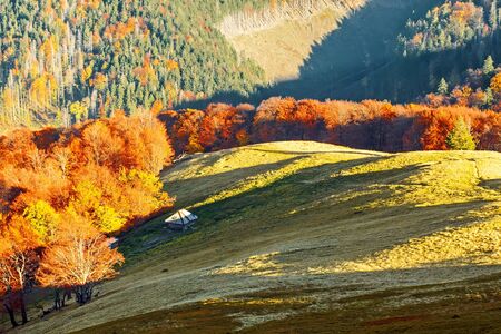 Autumn landscape in mountainsの写真素材