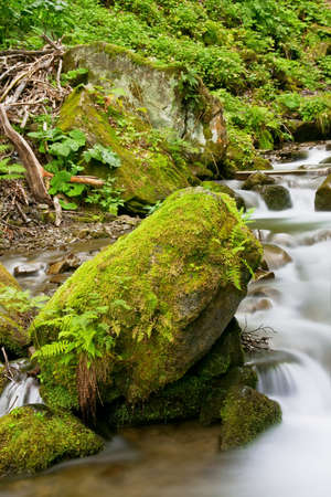 Stream in a mountain forestの写真素材